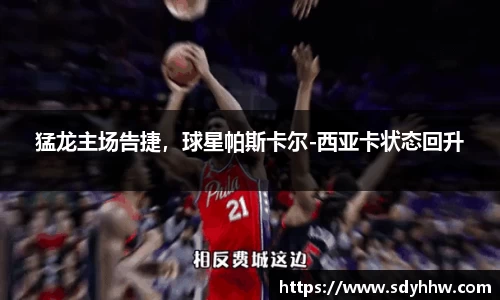 LD乐动网址