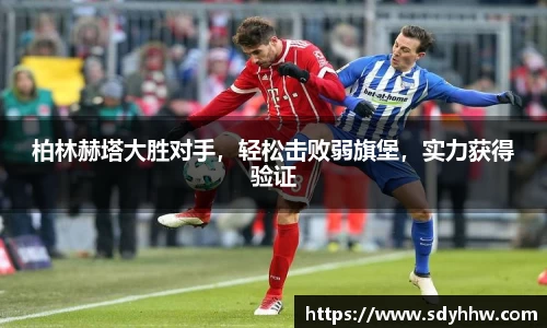 LD乐动官网