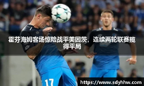 霍芬海姆客场惊险战平美因茨，连续两轮联赛揽得平局