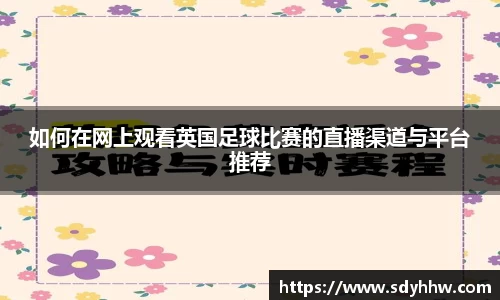 如何在网上观看英国足球比赛的直播渠道与平台推荐