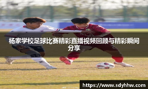 LD乐动app