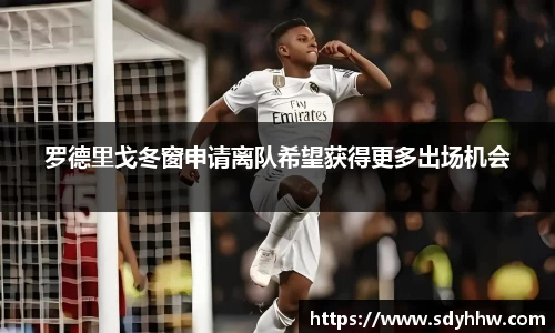 罗德里戈冬窗申请离队希望获得更多出场机会