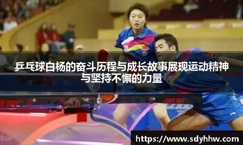 乒乓球白杨的奋斗历程与成长故事展现运动精神与坚持不懈的力量